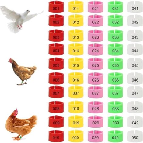 Packung mit 100 Beinringen für Geflügel – Mehrfarbig – Beinkennzeichnung – Nummerierter Clip für Geflügel – Für Hühner, Puten, Enten, Gänse, 5 Farben (1/4)