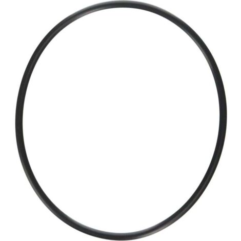 Ersatz-O-Ring für Mehrwegeventile und Sandfiltersysteme
