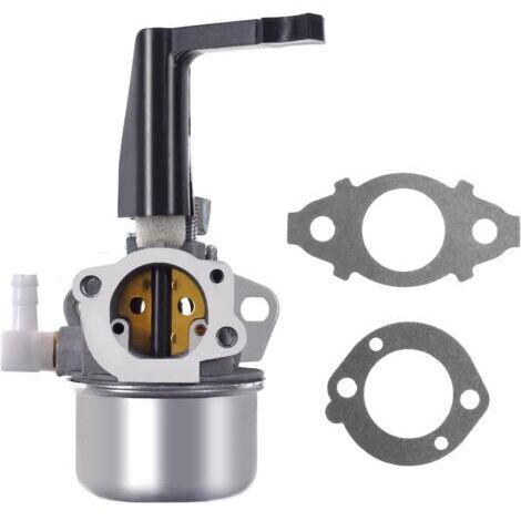 696065 Ersatzvergaser mit Dichtungssatz für Briggs & Stratton 110402 110412 697422 (1/5)