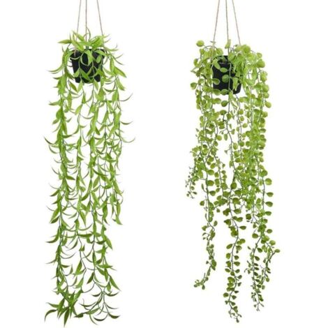 Herefun Fioriere Sospese, 2 Pcs Piante Sospese Portafiori, Piante Vasi