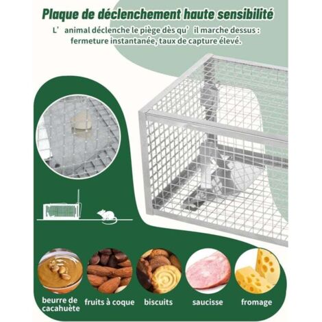 Outsunny Gabbia Trappola per Animali Vivi Piccoli 2 Porte Verde | Aosom