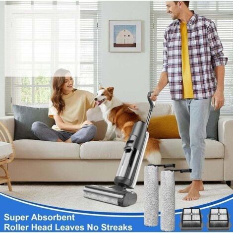 COME PULRE DYSON V8 V10 V11 pulza fltr e spazzole asprapolvere