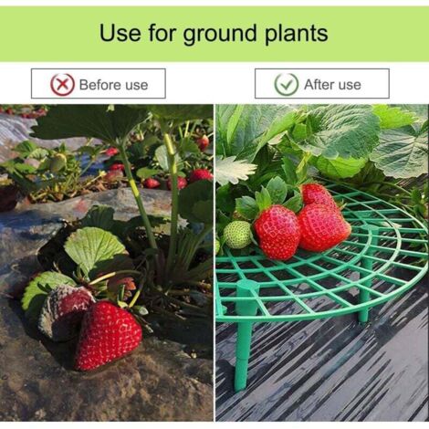Supporti per Fragole,Cornice di Supporto per Fragole,Fragola Telaio,Set di 6 Supporti per Fragole e Piante rampicanti,per Attrezzo per Aumentare la Frutta e Prevenire Marciume