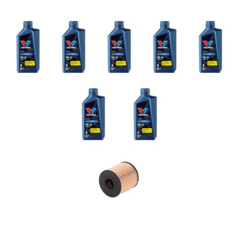 Kit filtro olio e 7L compatibile con Ford Tourneo Custom 2.2 TDCi 74kw dal 2012 (1/3)