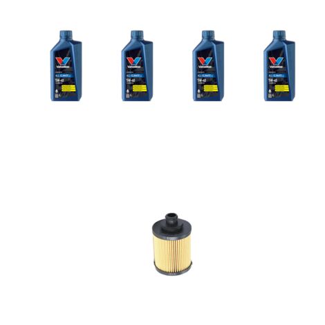 Kit filtro olio e 4L compatibile con Fiat Grande Punto 1.3 D Multijet 66kw dal 2005 (1/3)