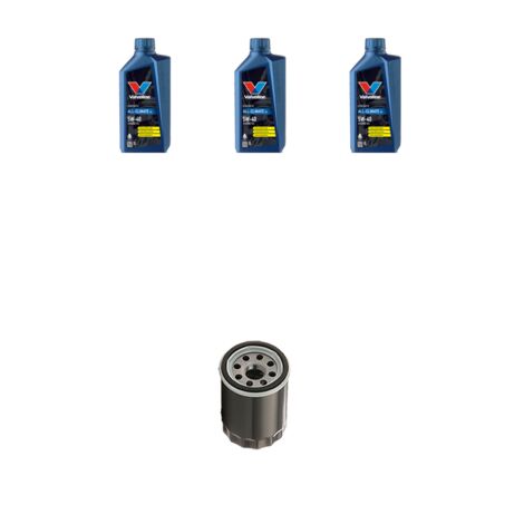 Kit filtro olio e 3L compatibile con Fiat Grande Punto 1.4 16v 70kw dal 2006 (1/3)