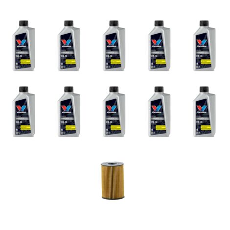 Kit filtro olio e 10L compatibile con Bmw serie 6 (F06GC) M6 412kw dal 2013 (1/3)