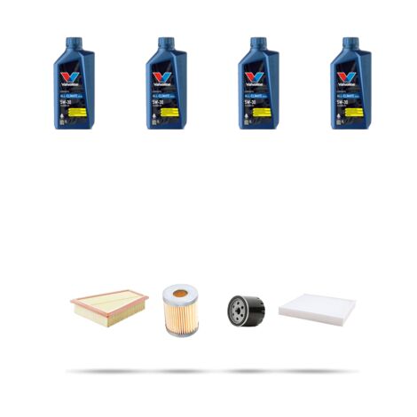 Kit tagliando 4 FILTRI e 4L OLIO compatibile con Ford Fiesta VI 1.4 16v Gpl/LPG 71kw dal 2009 (1/5)