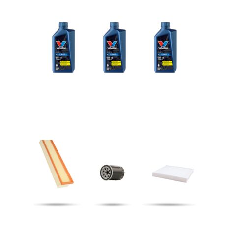 Kit tagliando 3 FILTRI e 3L OLIO compatibile con Fiat Punto EVO 1.2 51kw dal 2009 al 2012 (1/5)