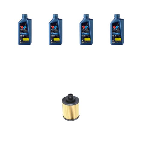 Kit filtro olio e 4L compatibile con Fiat Doblo II 1.3 MJTD 66kw dal 2010 (1/3)