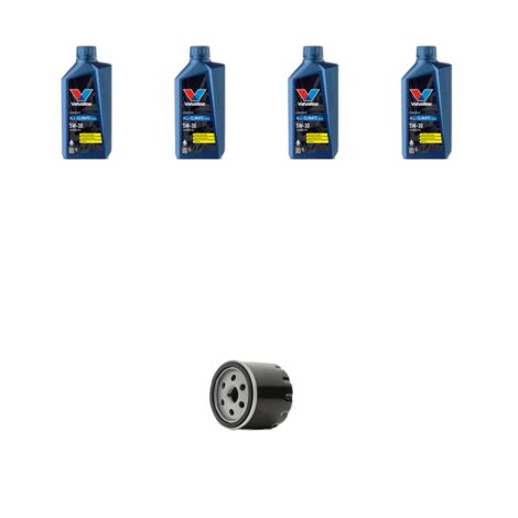 Kit filtro olio e 4L compatibile con Seat Leon III 1.2 TSI 63kw Dal 2018 (1/3)