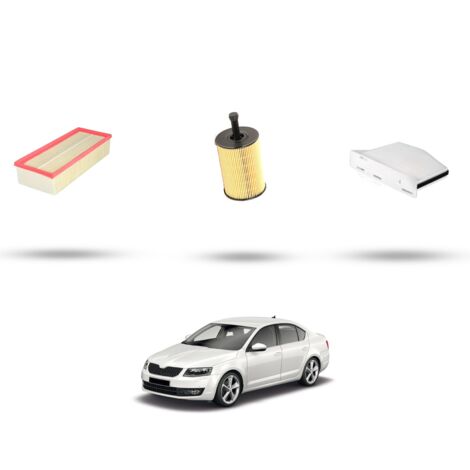 Kit tagliando 3 filtri compatibile con Skoda Octavia II 1.9 TDI 77kw Dal 2009 al 2010 (1/4)