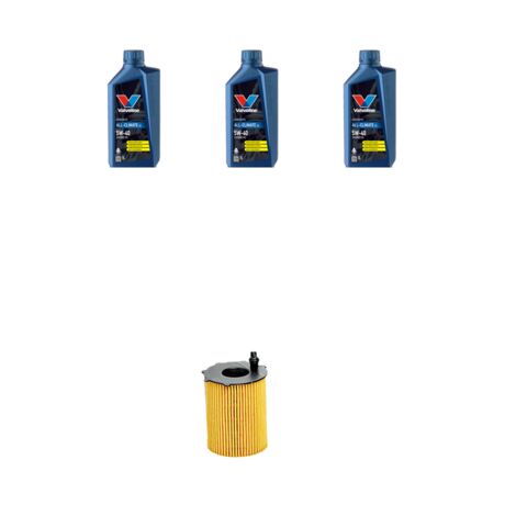 Kit filtro olio e 3L compatibile con Lancia Ypsilon II (312) 0.9 Twin Air 63kw dal 2011 (1/3)