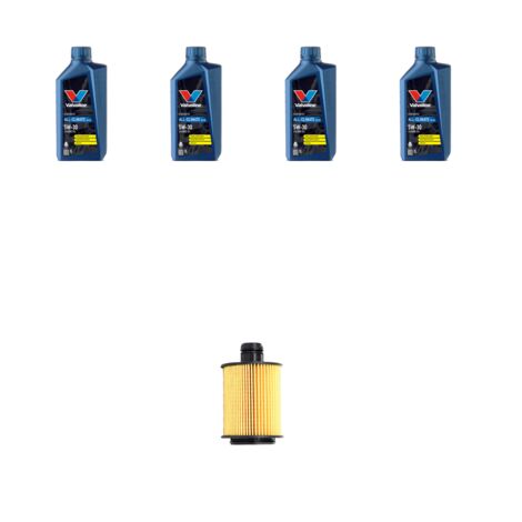 Kit filtro olio e 4L compatibile con Peugeot Bipper 1.3 HDI 55kw Dal 2010 (1/3)