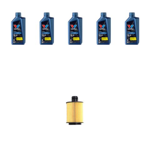 Kit filtro olio e 5L compatibile con Fiat Punto Evo 1.6 MJT 88kw dal 2009 (1/3)
