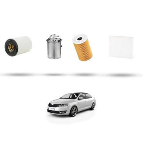 Kit tagliando 4 filtri compatibile con Skdoa Rapid (NH3,NH1) 1.6 Tdi 77kw dal 2012 (1/5)