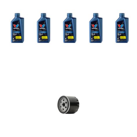 Kit filtro olio e 5L compatibile con Renault Thalia II 1.5 dci 48kw Dal 2008 (1/3)