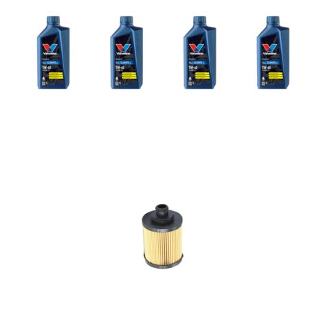 Kit filtro olio e 4L compatibile con Fiat Linea (110) 1.3 Multijet 16V 66kw dal 2007 (1/3)