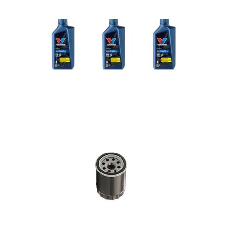 Kit filtro olio e 3L compatibile con Fiat Punto Evo 1.4 55kw Dal 2009 (1/3)