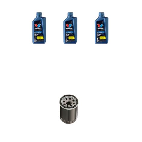 Kit filtro olio e 3L compatibile con Fiat Punto III 1.2 LPG 51kw dal 2012 (1/3)
