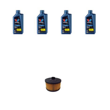 Kit filtro olio e 4L compatibile con Nissan Micra V (K14F) 0.9 LPG 64KW Dal 2019 (1/3)