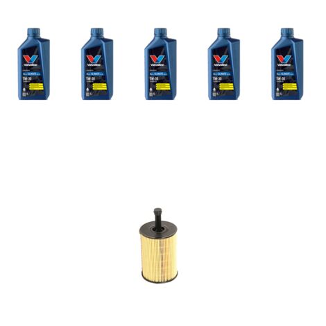 Kit filtro olio e 5L compatibile con Seat Leon II (1P1) 1.9 TDI 66kw dal 2007 (1/3)