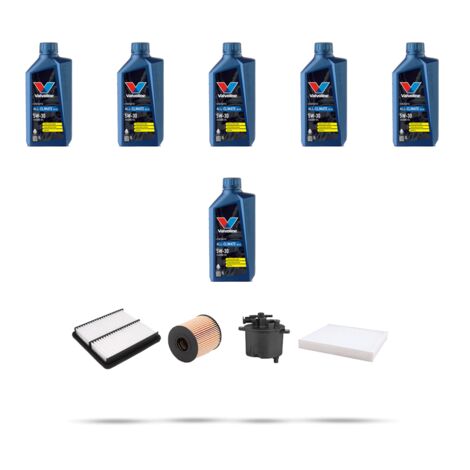 Kit tagliando 4 FILTRI e 6L OLIO compatibile con Peugeot 4007 2.2 HDI 115kw dal 2007 (1/5)