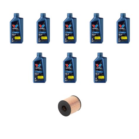 Kit filtro olio e 8L compatibile con Ford Transit Custom 2.2 Tdci 114kw Dal 2012 (1/3)