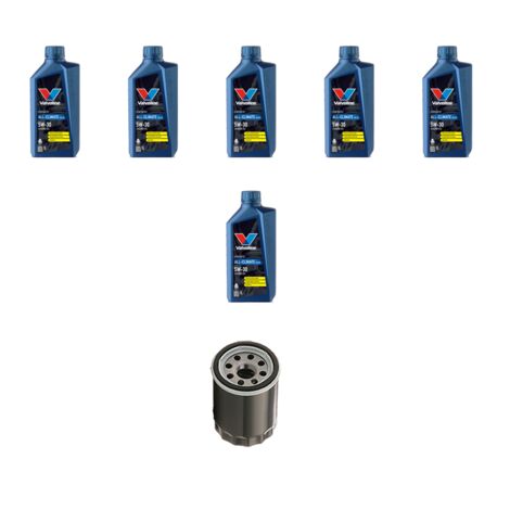 Kit filtro olio e 6L compatibile con Land Rover Evoque (L538) 2.0 177kw dal 2011 (1/3)