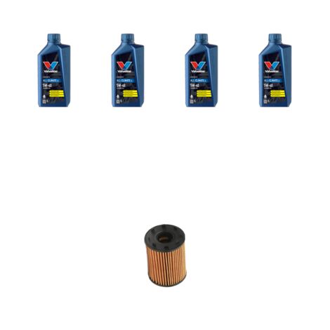 Kit filtro olio e 4L compatibile con Fiat Punto Evo 1.4 16v 77kw dal 2009 a l2012 (1/3)