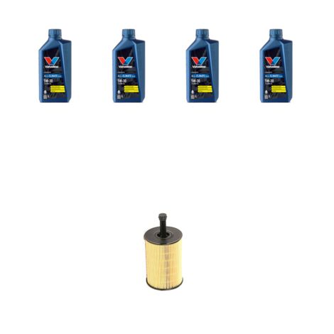 Kit filtro olio e 4L compatibile con Skoda Fabia II (545,542) 1.4 TDI 51kw dal 2007 al 2014 (1/3)