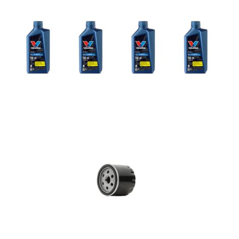 Kit filtro olio e 4L compatibile con Ford Fiesta VI 1.4 16v Gpl/LPG 71kw dal 2009 (1/3)