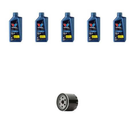 Kit filtro olio e 5L compatibile con Ford Fusion 1.4 16v GPL /LPG 59kw dla 2009 (1/3)