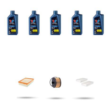 Kit tagliando 3 FILTRI e 5L OLIO compatibile con Renault Kangoo II 1.2 TCE 84kw Dal 2013 (1/5)
