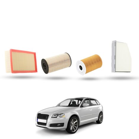 Kit Tagliando 4 filtri compatibile con Audi A3 II (8P1,8PA) 1.6 tdi 66kw dal 2009 (1/5)