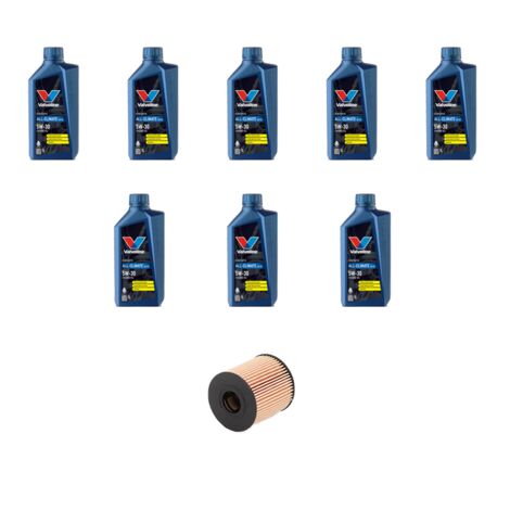 Kit filtro olio e 8L compatibile con Ford Transit Custom 2.2 tdci 92kw dal 2012 (1/3)