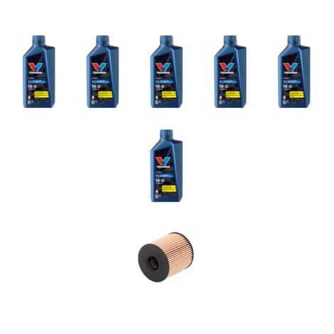 Kit filtro olio e 6L compatibile con Jaguar XF (250) 2.2 Diesel 120kw dal 2011