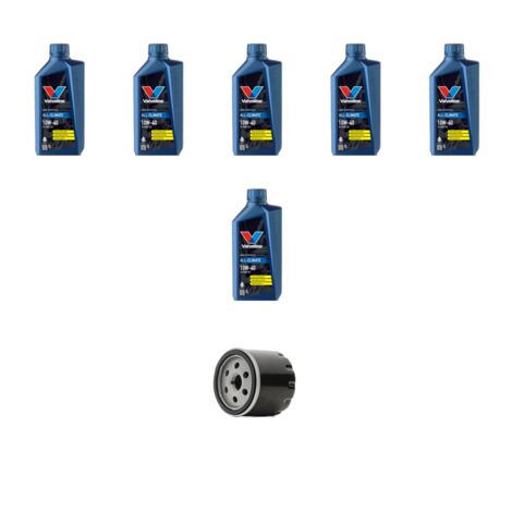 Kit filtro olio e 6L compatibile con Lancia Thesis 3.0 V6 158kw dal 2002 (1/3)