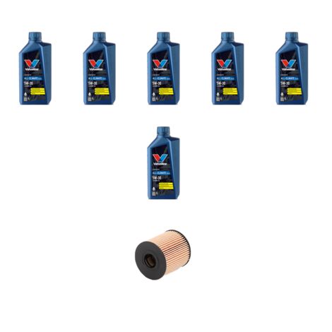 Kit filtro olio e 6L compatibile con Ford Mondeo IV 2.2 Tdci 129kw dal 2008 (1/3)