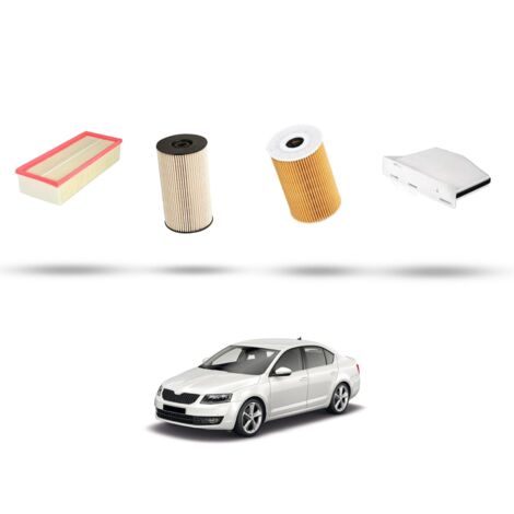 Kit tagliando 4 filtri compatibile con Skoda Octavia II 2.0 TDI 81kw Dal 2010 al 2013 (1/5)