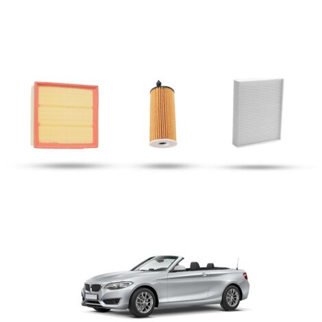 Kit Tagliando 3 filtri compatibile con Bmw Serie 2 (F23,F22,F87) 218i 100kw dal 2015 (1/4)