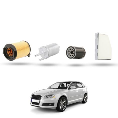 Kit Tagliando 4 filtri compatibile con Audi A3 II (8P1,8PA) 1.6 75kw dal 2003 (1/5)