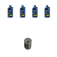 Kit filtro olio e 4L compatibile con Dr 1 1.3 LGP 61kw dal 2010