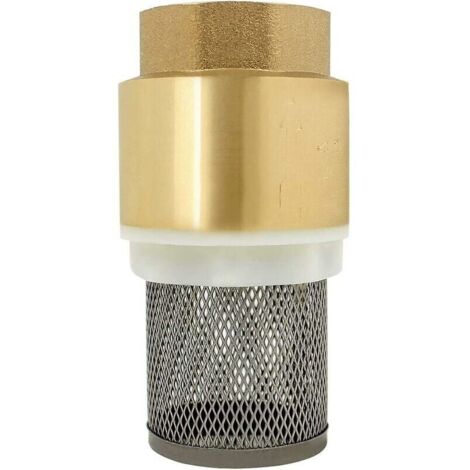 1/23/412 inch Check Valve - Non-return Valve Pump Check Valve (1 inch) (1/3)
