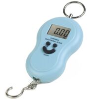 Professional Portable Electronic Scale with Fishing Hook 40kg per Suitcase, Assorted Colors, 1pc