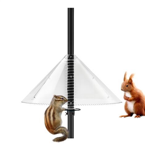 Protection contre les écureuils, protection contre les oiseaux, protection de mât, protection en dôme transparent, design résistant aux intempéries pour extérieur, cour, arbre, parc, pelouse, jardin (1/5)