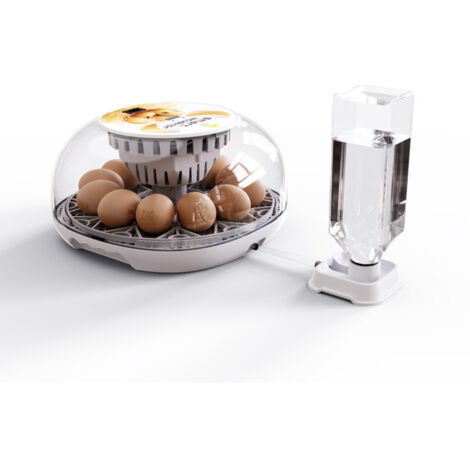 Incubateur automatique pour 12 œufs – Contrôle numérique de la température – Retourneur d'œufs toutes les 2h – Système d'alimentation en eau externe