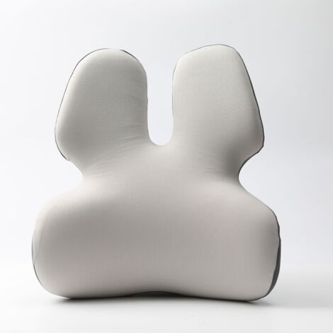 Coussin Lombaire Orthopédique Gaethra - Soutien Dos Ergonomique Respirant Voiture Et Bureau
