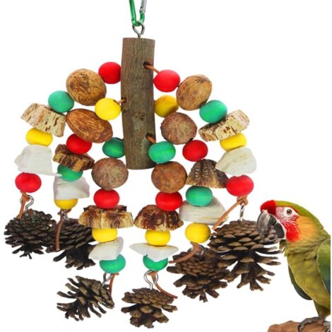 Jouets pour perroquets, noix riches en nutriments, jouet à mordre en bois naturel pour cage de perroquet, cacatoès contenant des os de seiche, pommes de pin, mangues en bois et carambole pour
