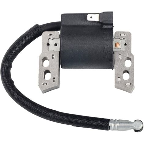 Applicable Bobine d'allumage électronique de Rechange pour Briggs & Stratton 695711,802574,493237,796964,492416